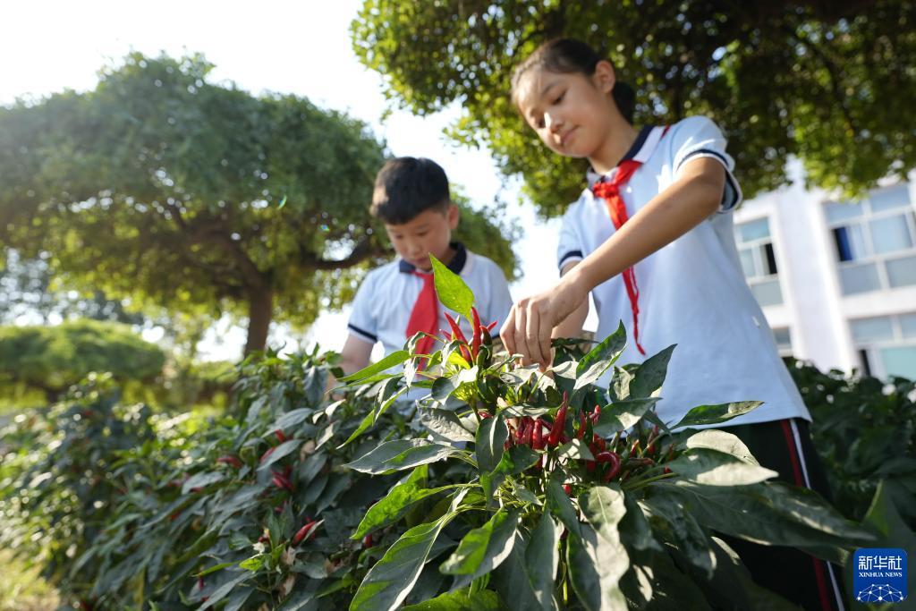 澳门 迅雷下载